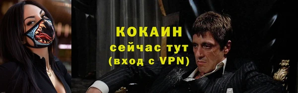 твердый Кукмор