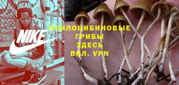 твердый Кукмор