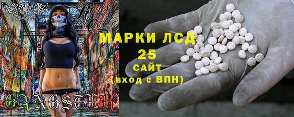 ПСИЛОЦИБИНОВЫЕ ГРИБЫ Лагань
