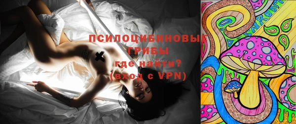 твердый Кукмор