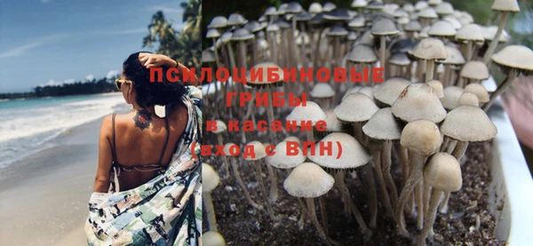 герыч Ладушкин