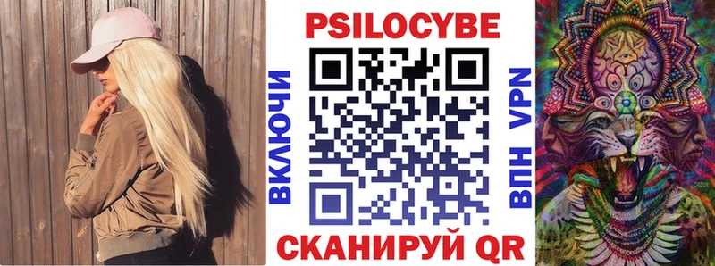 Купить  Апшеронск  Псилоцибиновые грибы MAGIC MUSHROOMS 